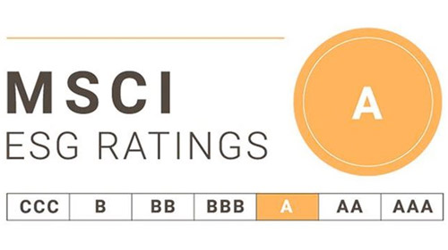 MSCI Rankings Logo