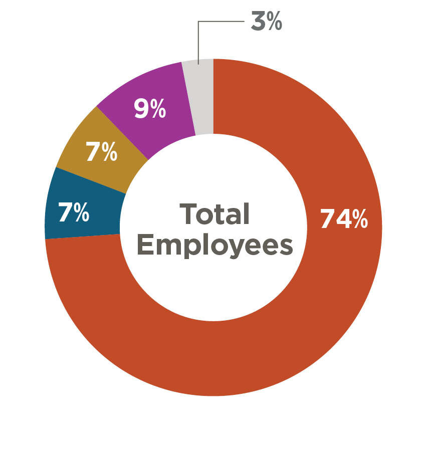 Pie Chart Showing Total Employee Ethnic Diversity: 74% White, 7% Black or African American, 7% Asian, 9% Hispanic or Latino, 3% Other.