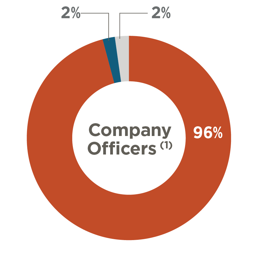 Pie Chart Showing Company Officer (1) Ethnic Diversity: 96% White, 2% Hispanic or Latino, 2% Other