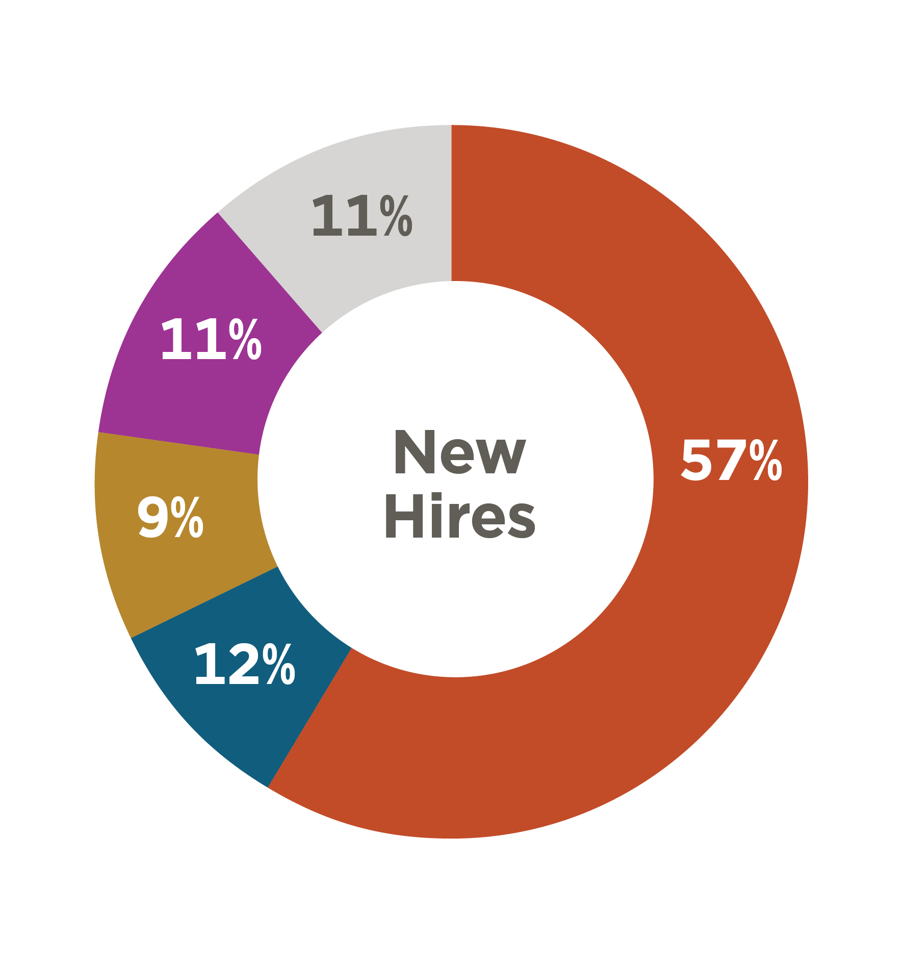 Pie Chart Showing New Hires Ethnic Diversity: 57% White, 12% Black or African American, 9% Asian, 11% Hispanic or Latino, 11% Other